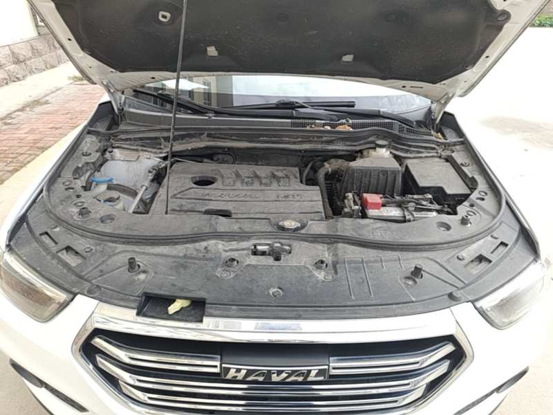 Used Haval H6 2019 Sport Edition 1.5T Automatic Two-Wheel Drive Elite Model China VI — 19
