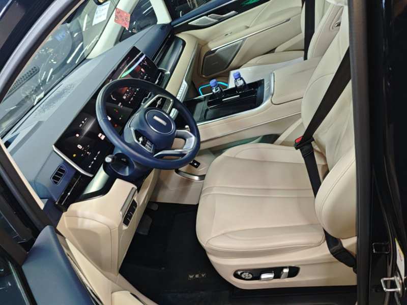 Used Wey Gaoshan 2023 Four-Wheel-Drive Executive Extended Version — 14