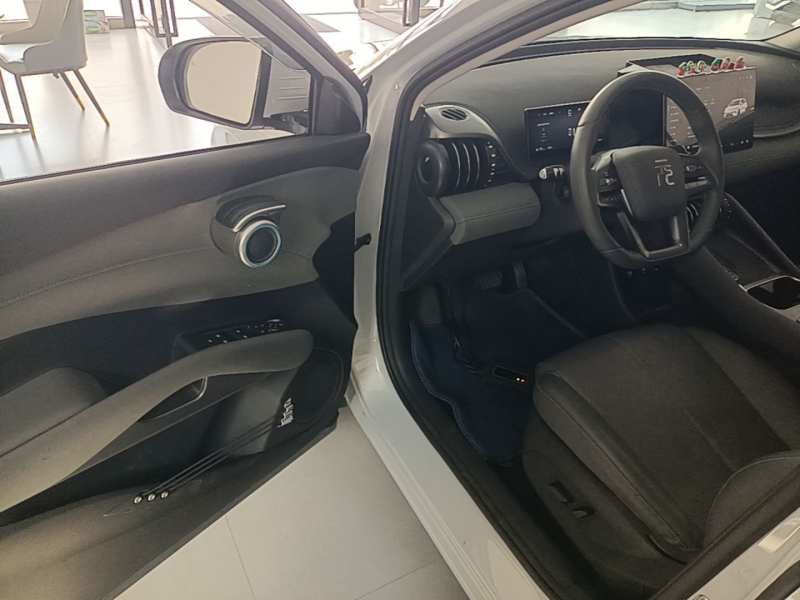 Used BYD Yuan PLUS 2025 Intelligent Driving Version 510 km Leading Edition — 15