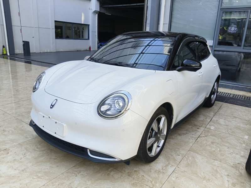 Used ORA Good Cat 2021 400km Standard Range Athena Edition Lithium Iron Phosphate