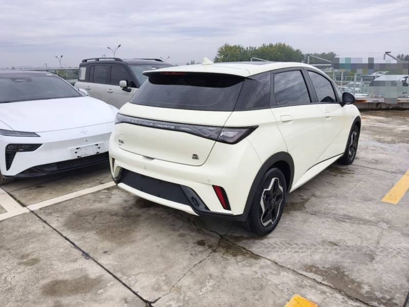 Used BYD Dolphin 2021 405 km Fashion Edition — 6