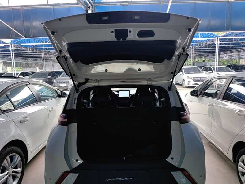 Used BYD Seagull 2025 305 km Free Version — 18