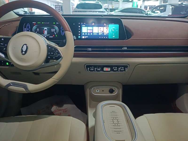 Used ORA Good Cat 2024 401 km Luxury Version — 8