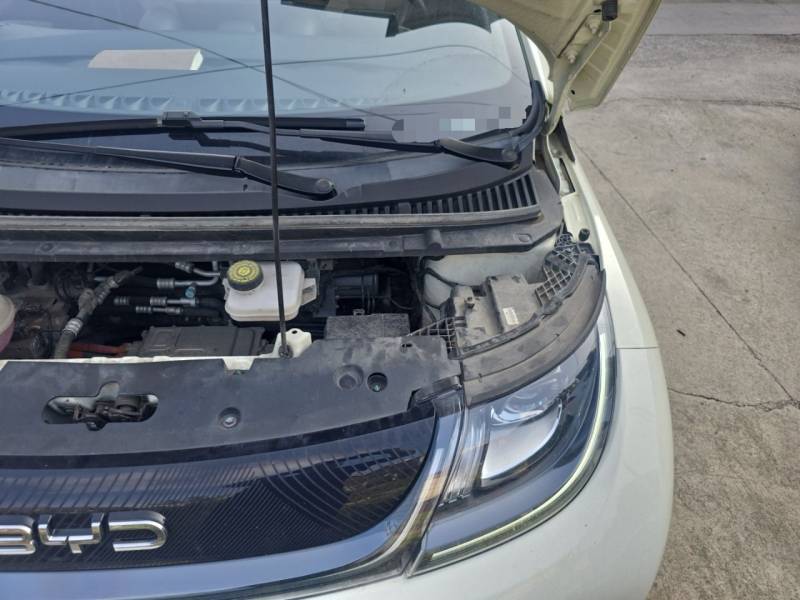 Used BYD Dolphin 2025 420km Free Edition — 22