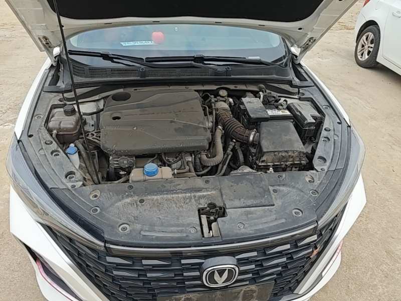 Used CHANGAN Eado 2022 PLUS Blue Whale NE 1.4T GDI DCT Prestige Edition — 19