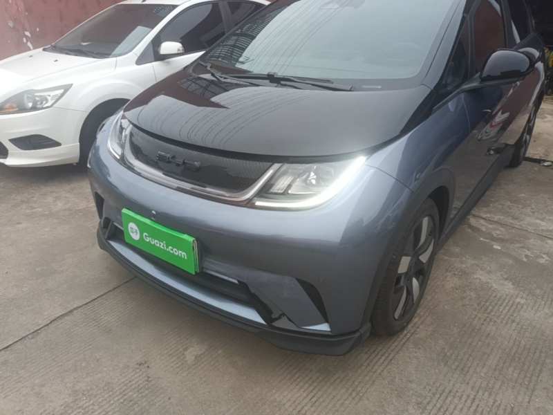 Used BYD Dolphin 2023 401km Knight Edition — 23