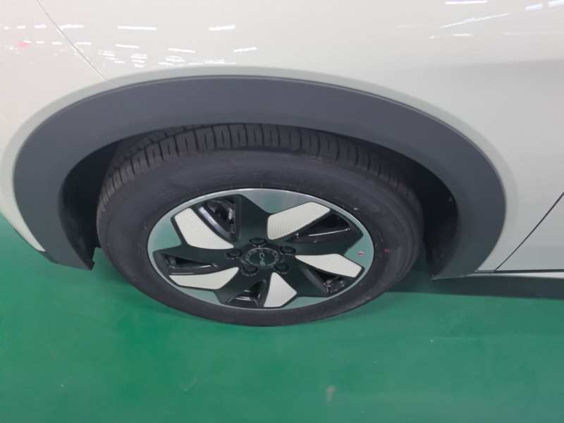 Used BYD Dolphin 2025 420km Free Edition — 22