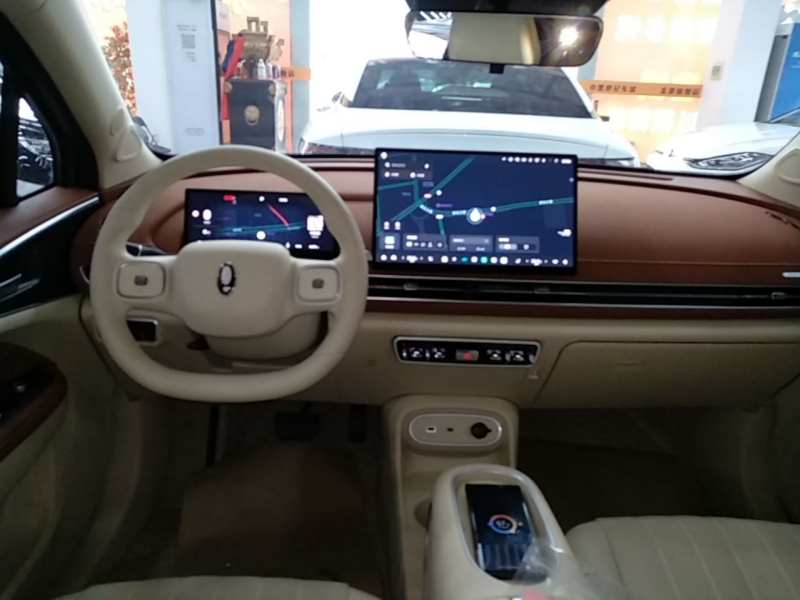 Used ORA Good Cat 2025 Model, 430 km Prestige Version — 9
