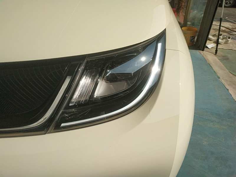 Used BYD Dolphin 2025 420km Free Edition — 23