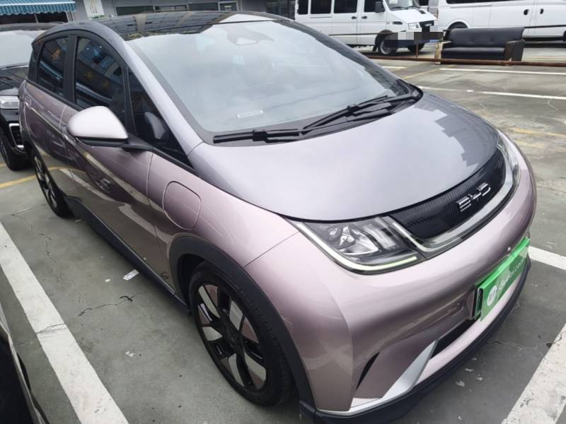Used BYD Dolphin 2021 401km Knight Edition — 3