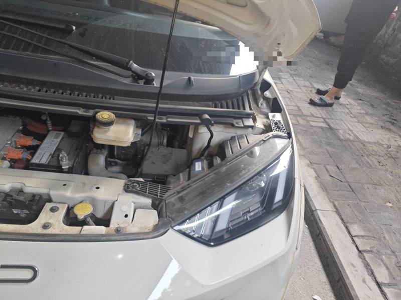 Used BYD Seagull 2023 Active Version — 23