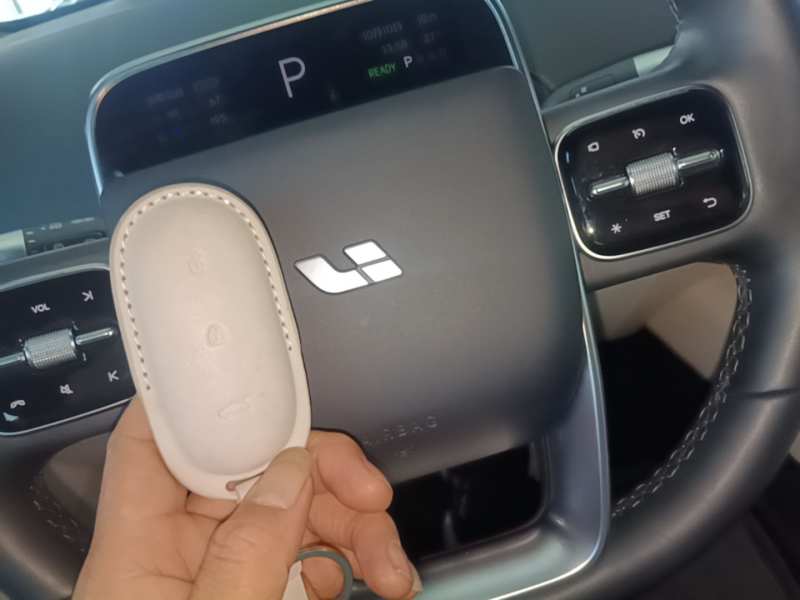Used Li Auto L6 2024 Pro Model — 8