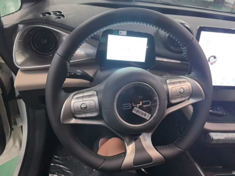 Used BYD Dolphin 2025 420km Free Edition — 10