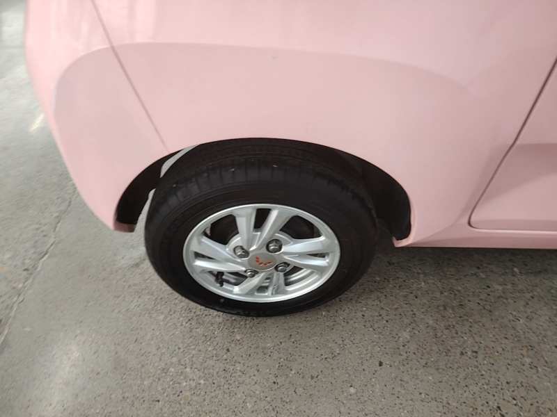 Used Wuling Hongguang MINIEV 2020 Freedom Version Lithium Iron Phosphate — 25