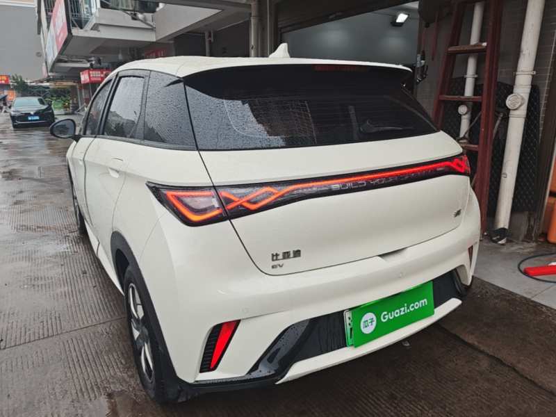 Used BYD Dolphin 2025 420km Free Edition — 4