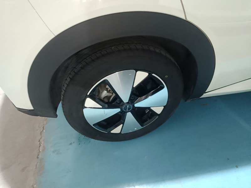 Used BYD Dolphin 2023 420 km Free Version — 25