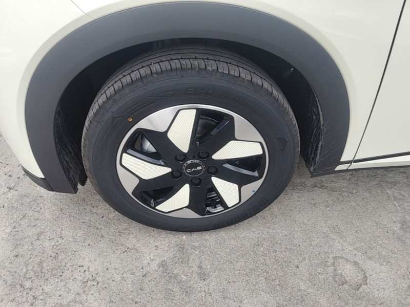 Used BYD Dolphin 2025 420km Free Edition — 22