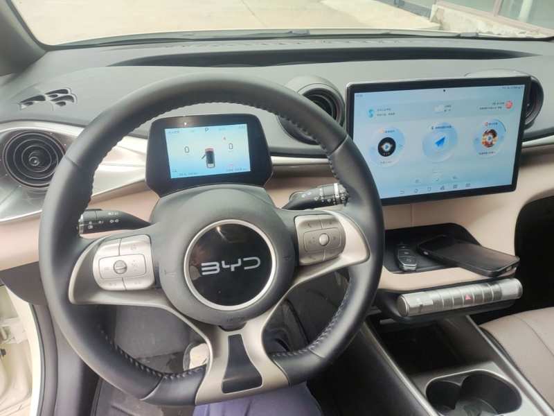 Used BYD Dolphin 2024 Honor Edition 302km Dynamic Version — 9