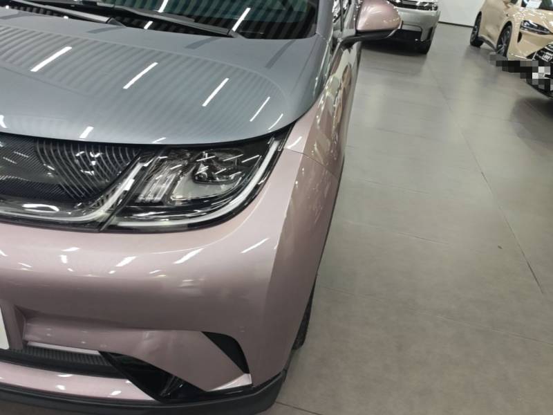 Used BYD Dolphin 2023 401km Knight Edition — 23