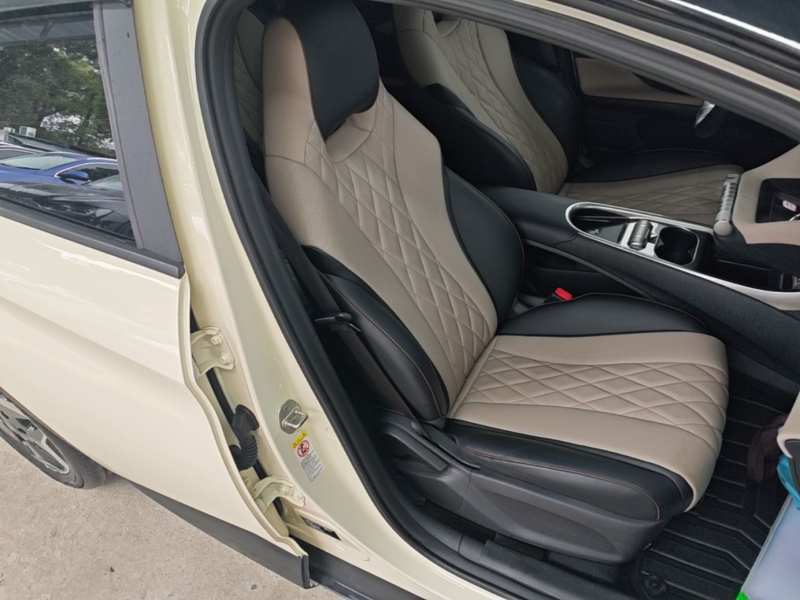 Used BYD Dolphin 2021 405 km Fashion Edition — 24