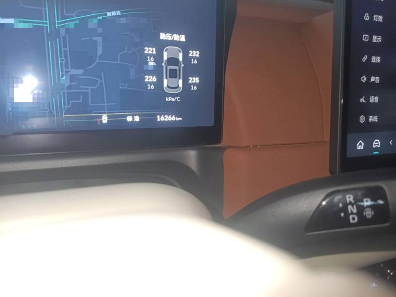 Used ORA Good Cat 2025 Model, 430 km Prestige Version — 13