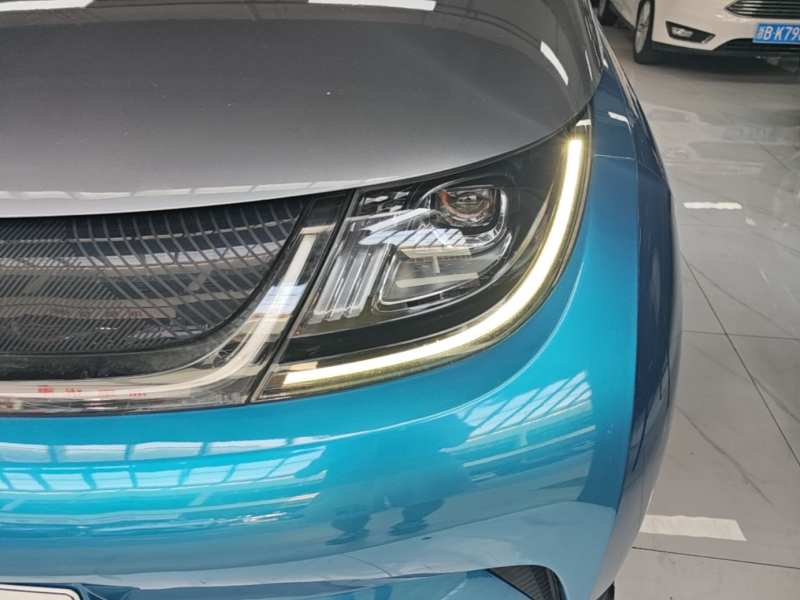 Used BYD Dolphin 2021 401km Knight Edition — 23