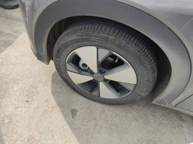 Used BYD Dolphin 2023 420 km Fashion Edition — 22