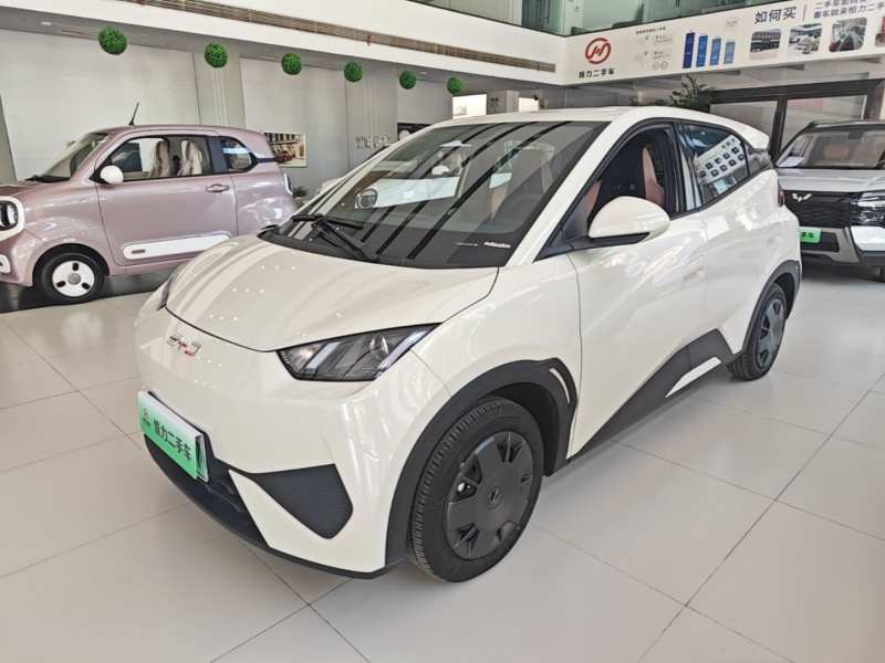 Used BYD Seagull 2025 305km Active Version — 1