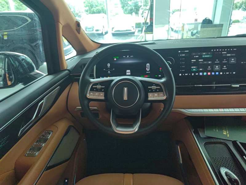 Used Wey Gaoshan 2023 Four-Wheel-Drive Executive Extended Version — 10