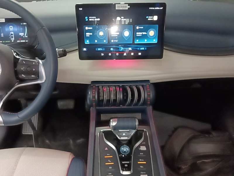 Used BYD Yuan PLUS 2022 510 km Flagship Version — 12