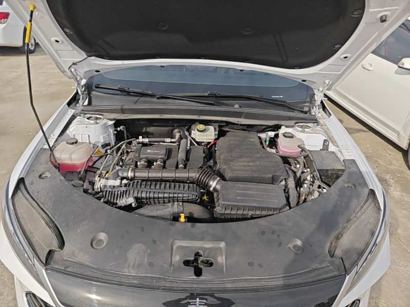 Used BYD Qin PLUS — 19