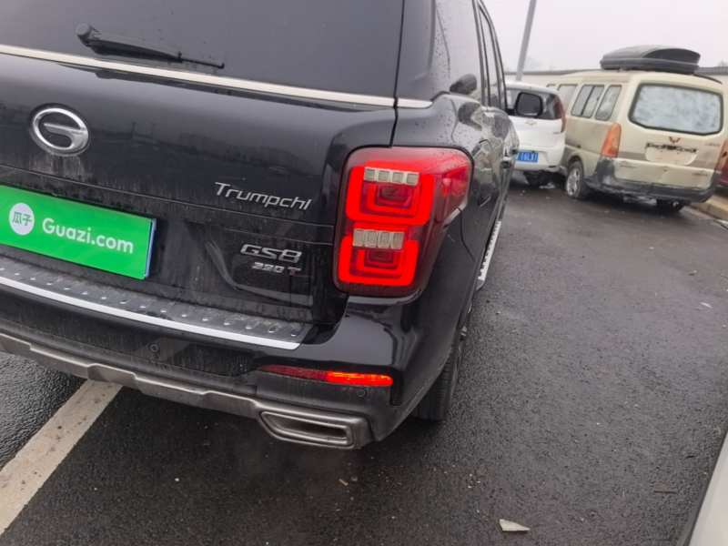 Used GAC Trumpchi GS8 2020 390T Two-Wheel Drive Luxury Smart Connectivity Version (7 Seats) — 7