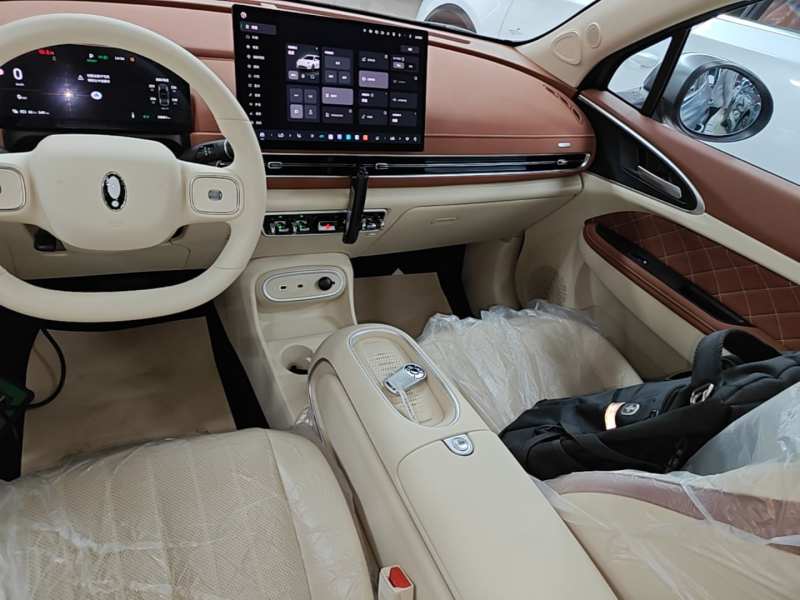 Used ORA Good Cat 2025 Model, 430 km Prestige Version — 13