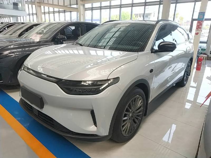 Used Leapmotor C11 2023 Pure Electric 500 Comfort Edition