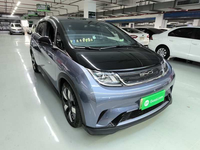 Used BYD Dolphin 2023 401km Knight Edition — 3