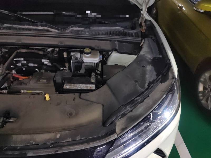 Used BYD Yuan UP 2024 401KM Leading Edition — 23