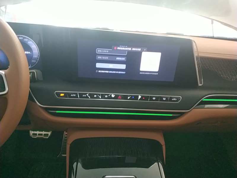 Used Hongqi H9 2025 2.0T Two-Wheel-Drive Flagship Luxury Business Edition 5 Seats — 12