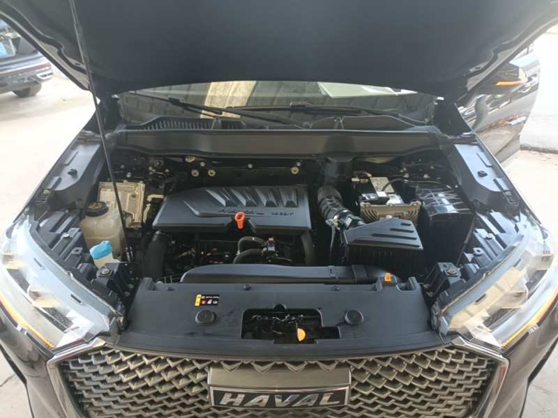 Used Haval H6 2021 3rd Generation 1.5T Automatic Two-Wheel Drive Max — 19