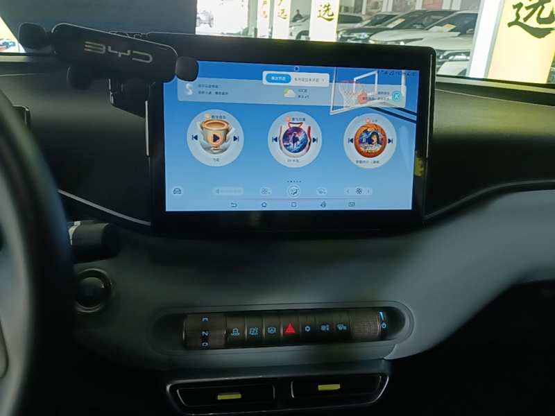 Used BYD Seagull 2023 Free Edition — 12
