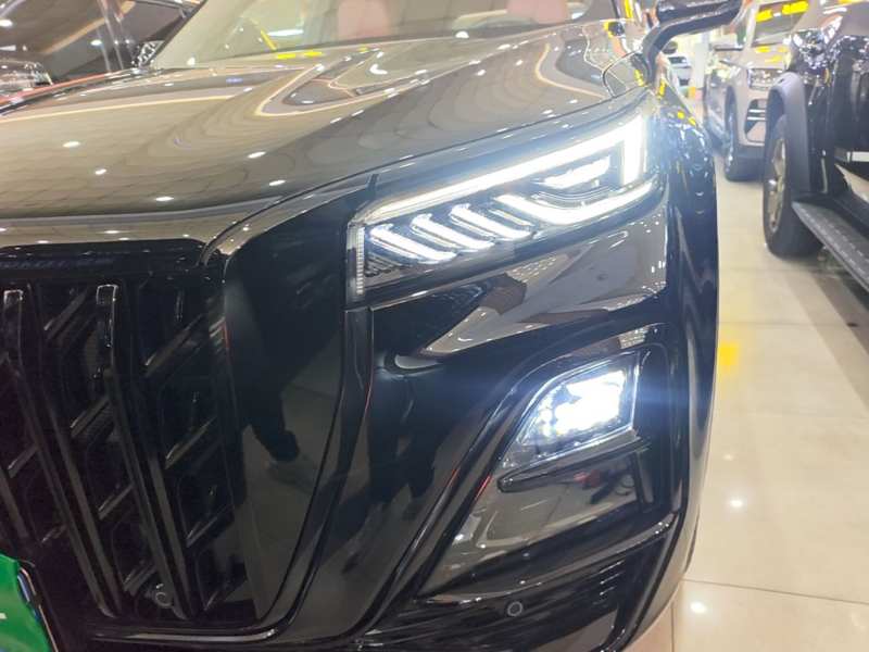 Used Hongqi HS5 2026 Model 2.0T Two-Wheel Drive Xuan Ying Edition — 23
