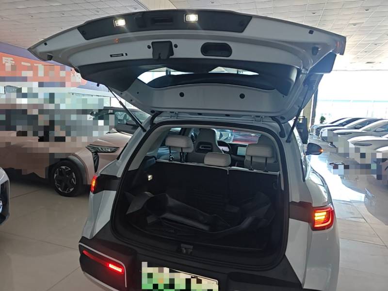Used BYD Yuan UP 2025 Model 301KM Leading Version — 18