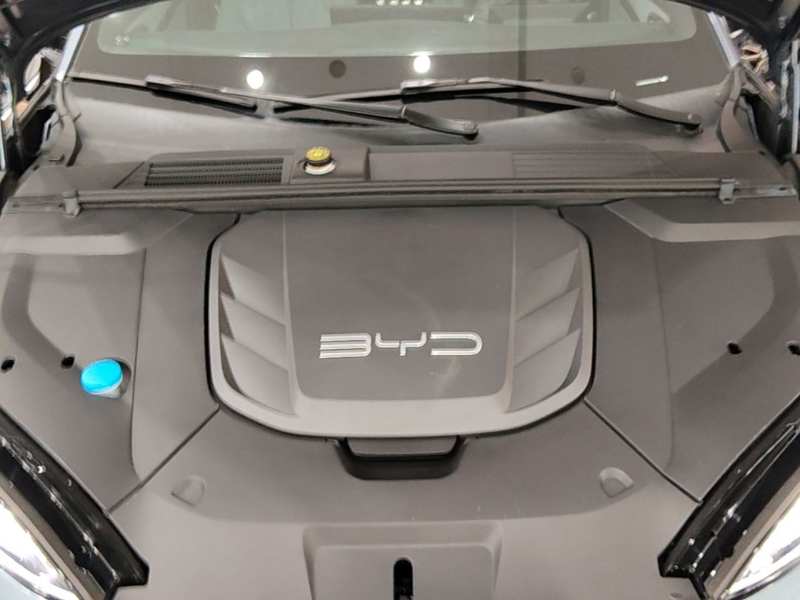 Used BYD Seal 2022 550 km Standard Range Rear-Wheel Drive Elite Version — 19