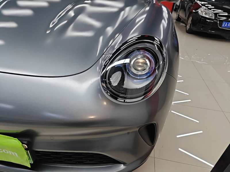 Used ORA Good Cat 2025 Model, 430 km Prestige Version — 23