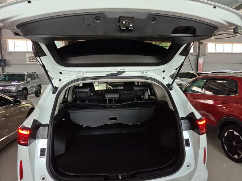 Used Haval H6 2022 3rd Generation 1.5T Automatic Two-Wheel Drive Max — 18