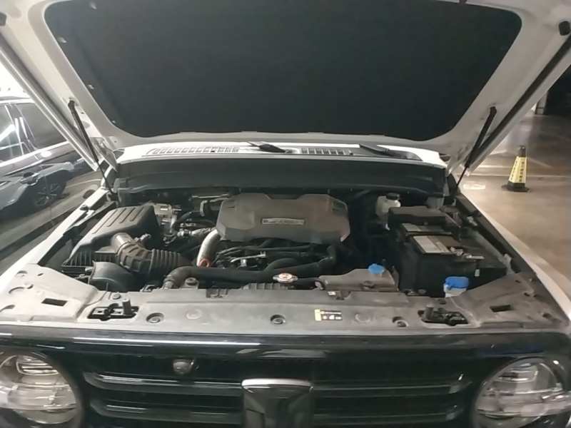 Used Tank 300 2024 2.0T Crosser — 19