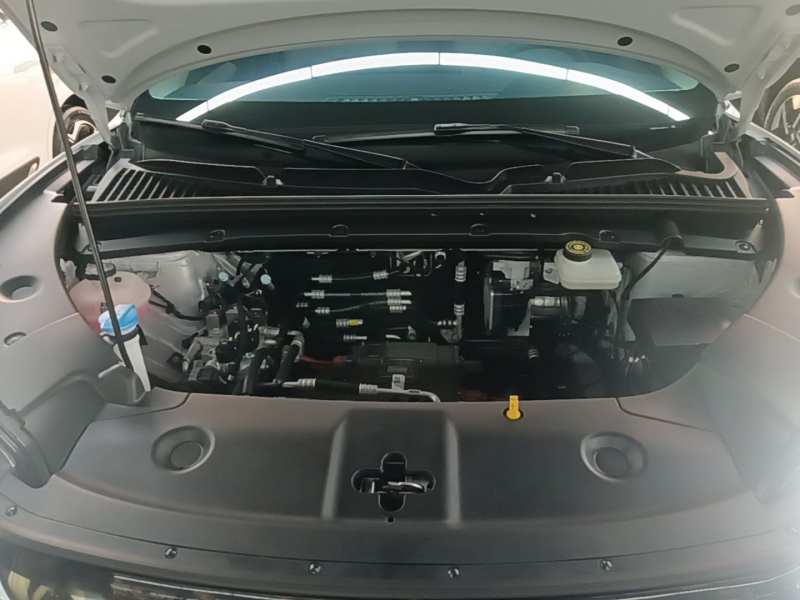 Used BYD Yuan UP 2025 Model 301KM Leading Version — 19