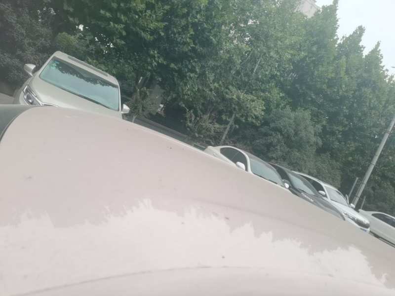 Used BYD Seagull 2023 Free Edition — 26