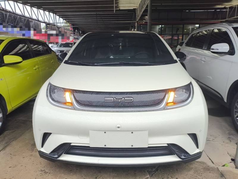Used BYD Dolphin 2023 420 km Fashion Edition — 2