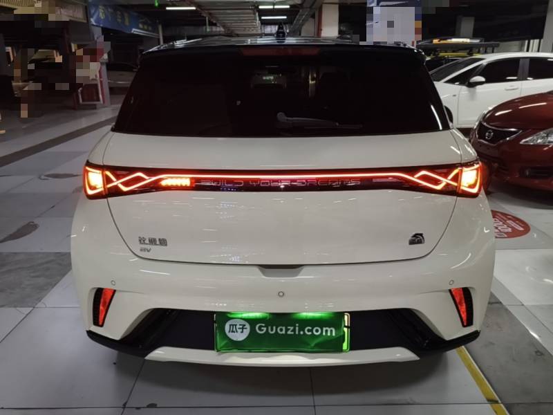 Used BYD Dolphin 2023 420 km Free Version — 5