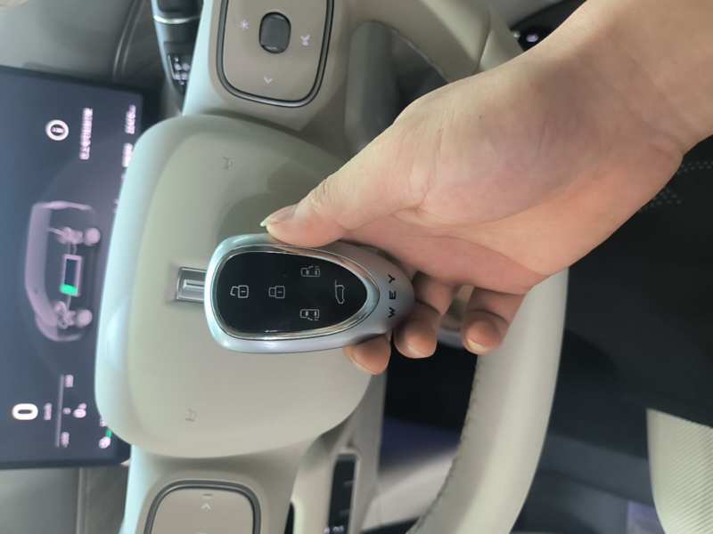 Used Wey Gaoshan 2025 Four-Wheel Drive Alpine 8 — 8